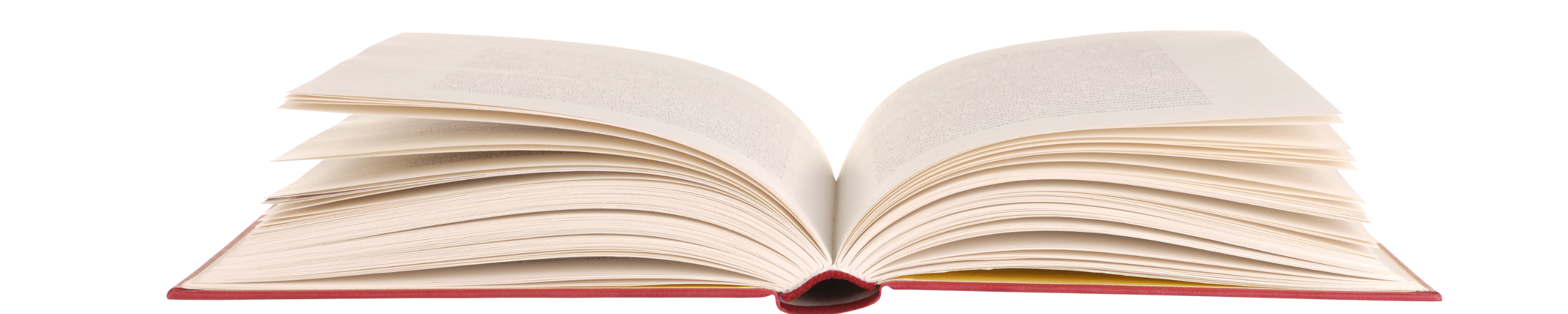 Книжный квест